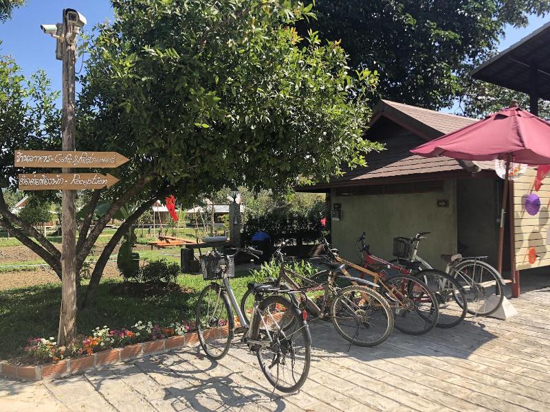 Ban Suan Tawan Chiang Dao - Aktivite