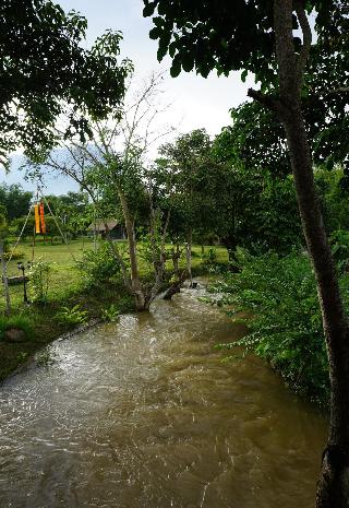 Ban Suan Tawan Chiang Dao fotoÄŸrafÄ±