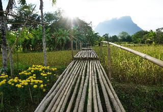 Ban Suan Tawan Chiang Dao fotoÄŸrafÄ±