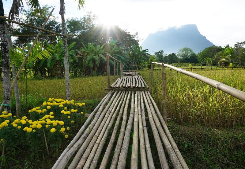 Ban Suan Tawan Chiang Dao - Genel