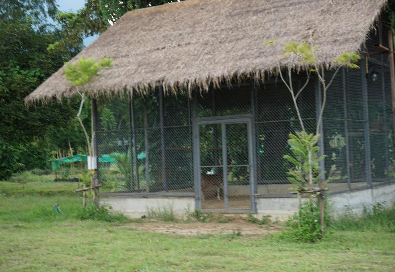 Ban Suan Tawan Chiang Dao - Genel