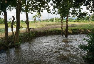 Ban Suan Tawan Chiang Dao fotoÄŸrafÄ±