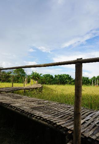 Ban Suan Tawan Chiang Dao fotoÄŸrafÄ±
