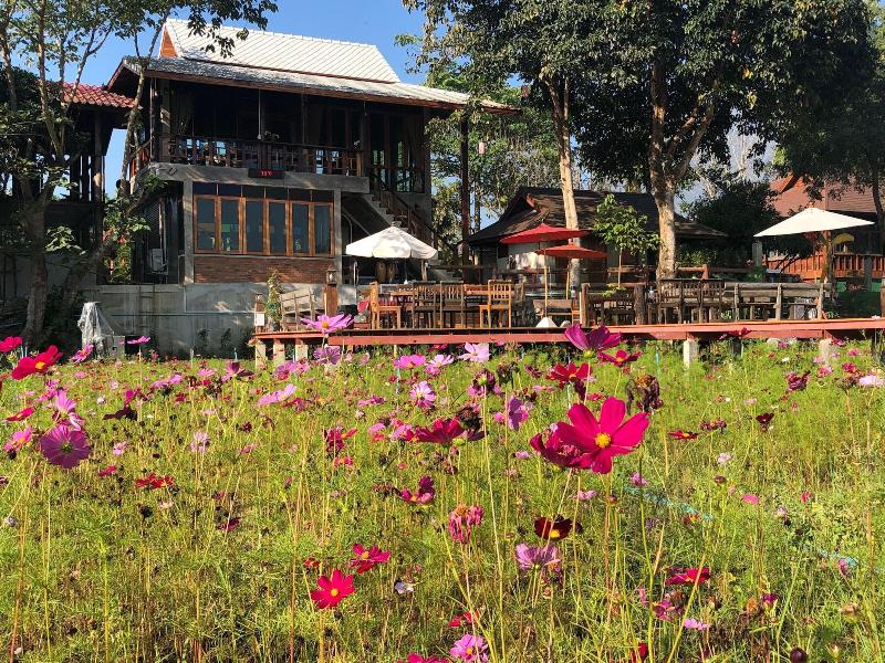 Ban Suan Tawan Chiang Dao - Genel