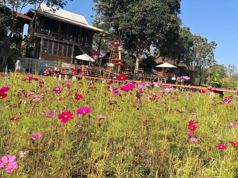 Ban Suan Tawan Chiang Dao - Genel