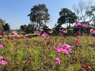 Ban Suan Tawan Chiang Dao fotoÄŸrafÄ±