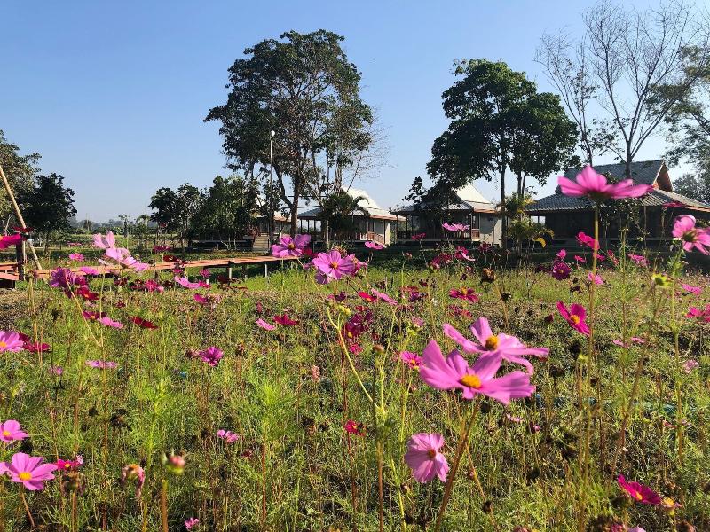 Ban Suan Tawan Chiang Dao - Genel