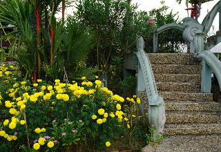 Ban Suan Tawan Chiang Dao fotoÄŸrafÄ±