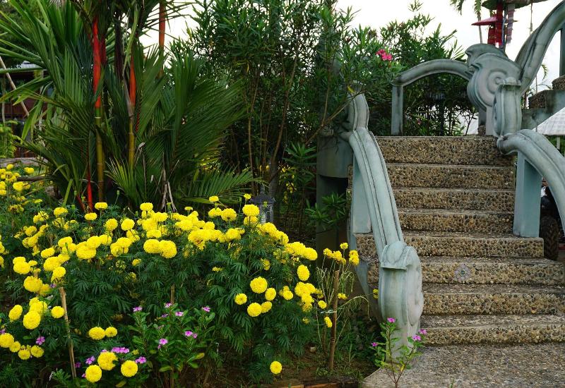 Ban Suan Tawan Chiang Dao - Genel