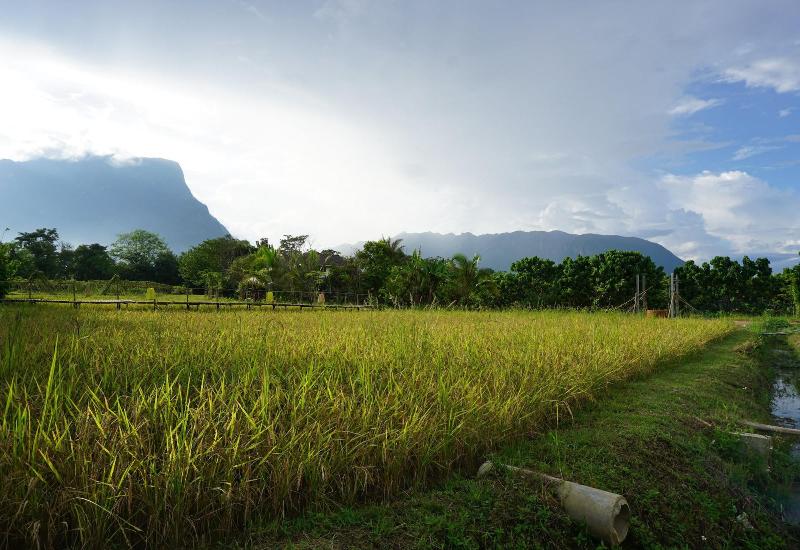 Ban Suan Tawan Chiang Dao - Genel