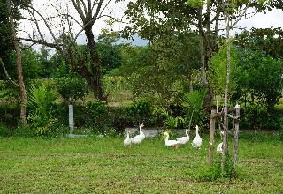 Ban Suan Tawan Chiang Dao fotoÄŸrafÄ±