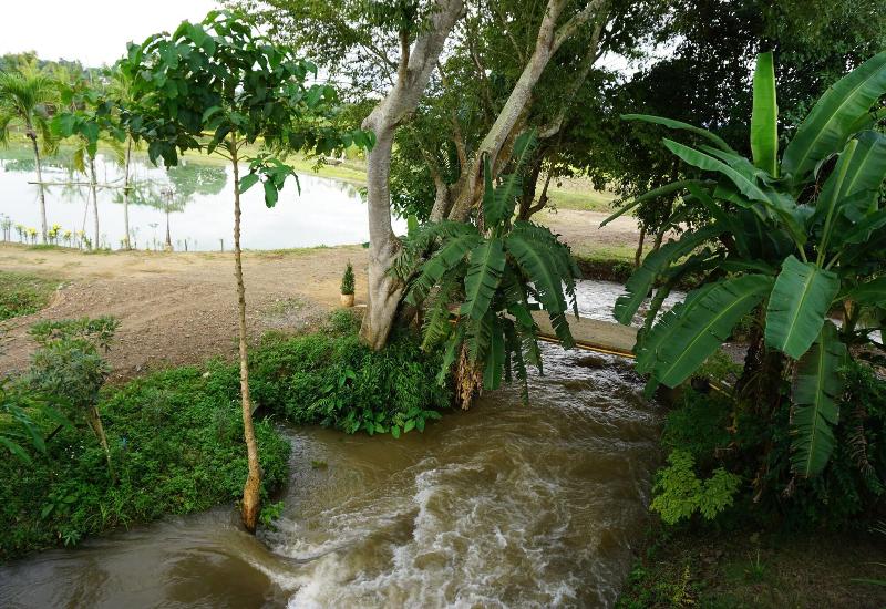 Ban Suan Tawan Chiang Dao - Oda