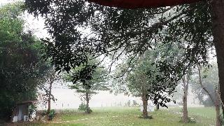 Banviewnam Camping & Resort fotoÄŸrafÄ±