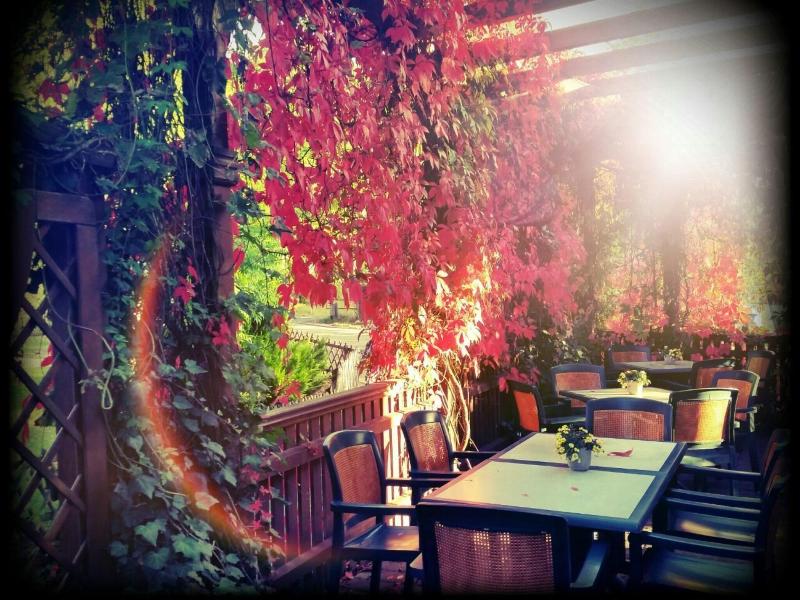 Hotel & Restaurant Teichhotel - Teras