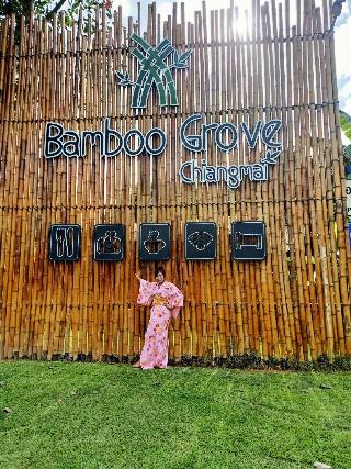 Bamboo Grove Chiang Mai fotoÄŸrafÄ±