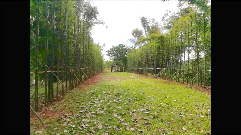 Bamboo Grove Chiang Mai - Genel