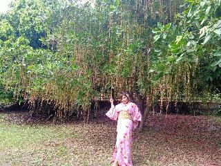 Bamboo Grove Chiang Mai fotoÄŸrafÄ±