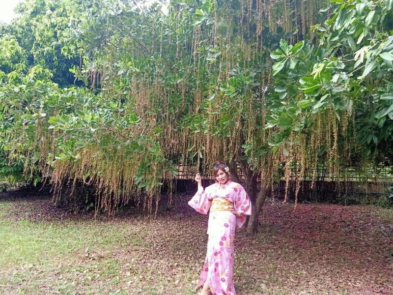 Bamboo Grove Chiang Mai - Genel