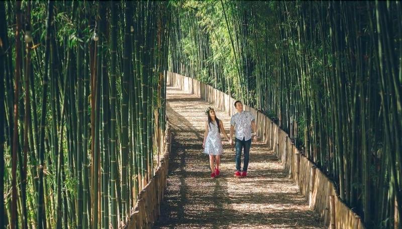 Bamboo Grove Chiang Mai - Genel