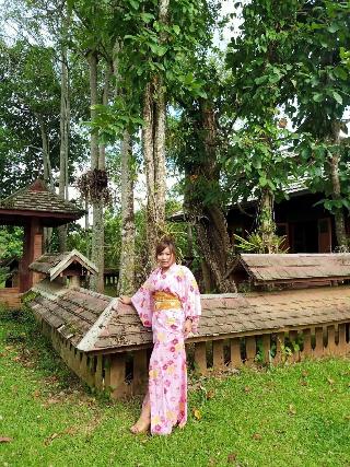 Bamboo Grove Chiang Mai fotoÄŸrafÄ±