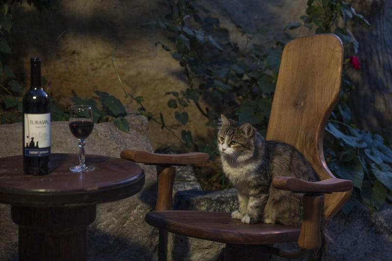 Koza Cave Hotel - Restoran