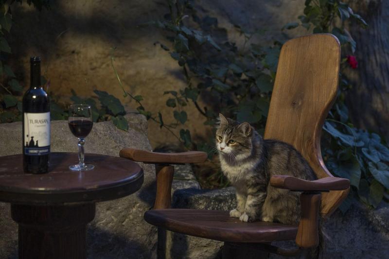 Koza Cave Hotel - Restoran