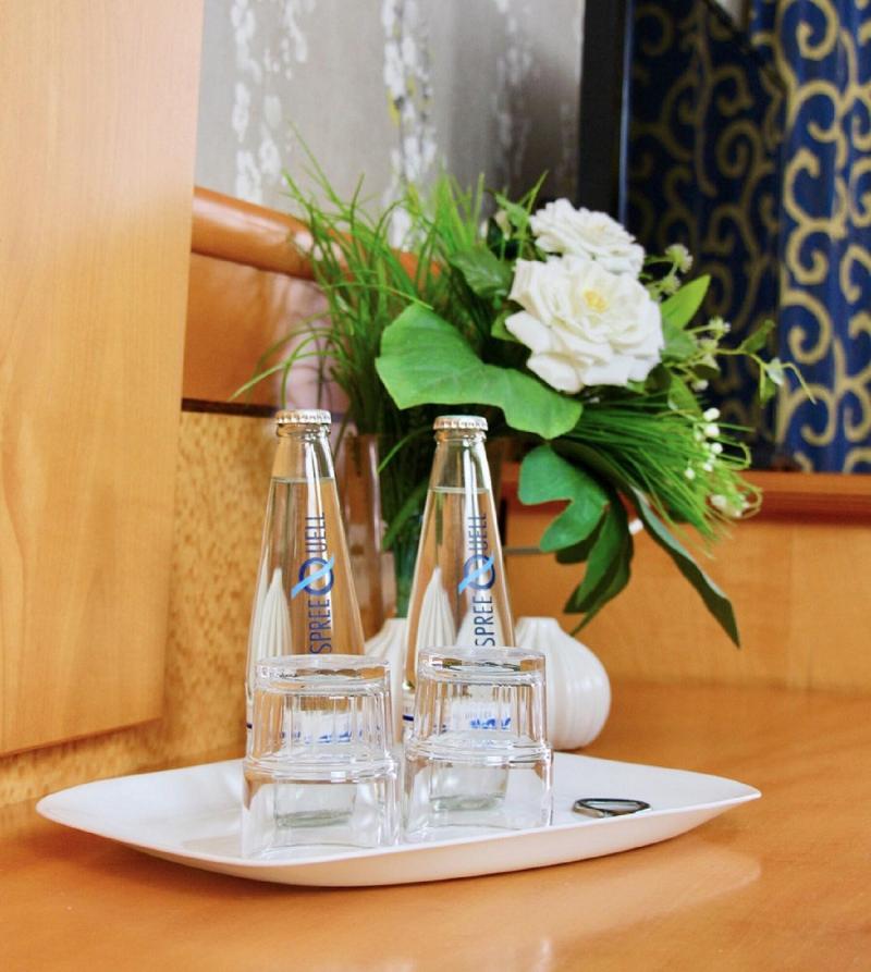 Parkhotel Viktoria - Oda
