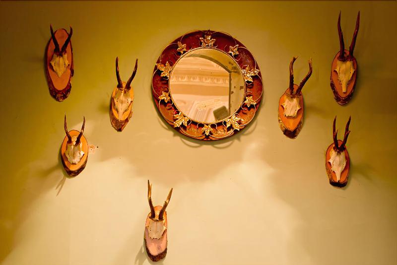 Red Lion - Lobi