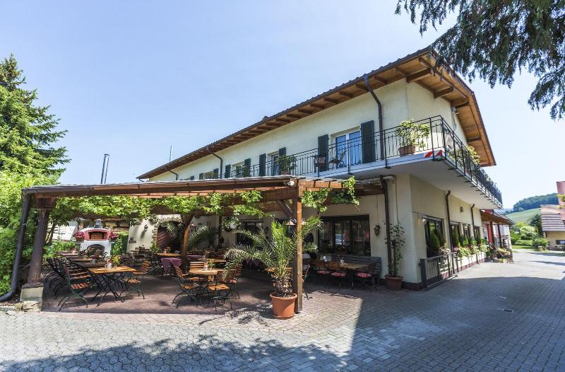 Hotel Restaurant Zum Ochsen - Teras