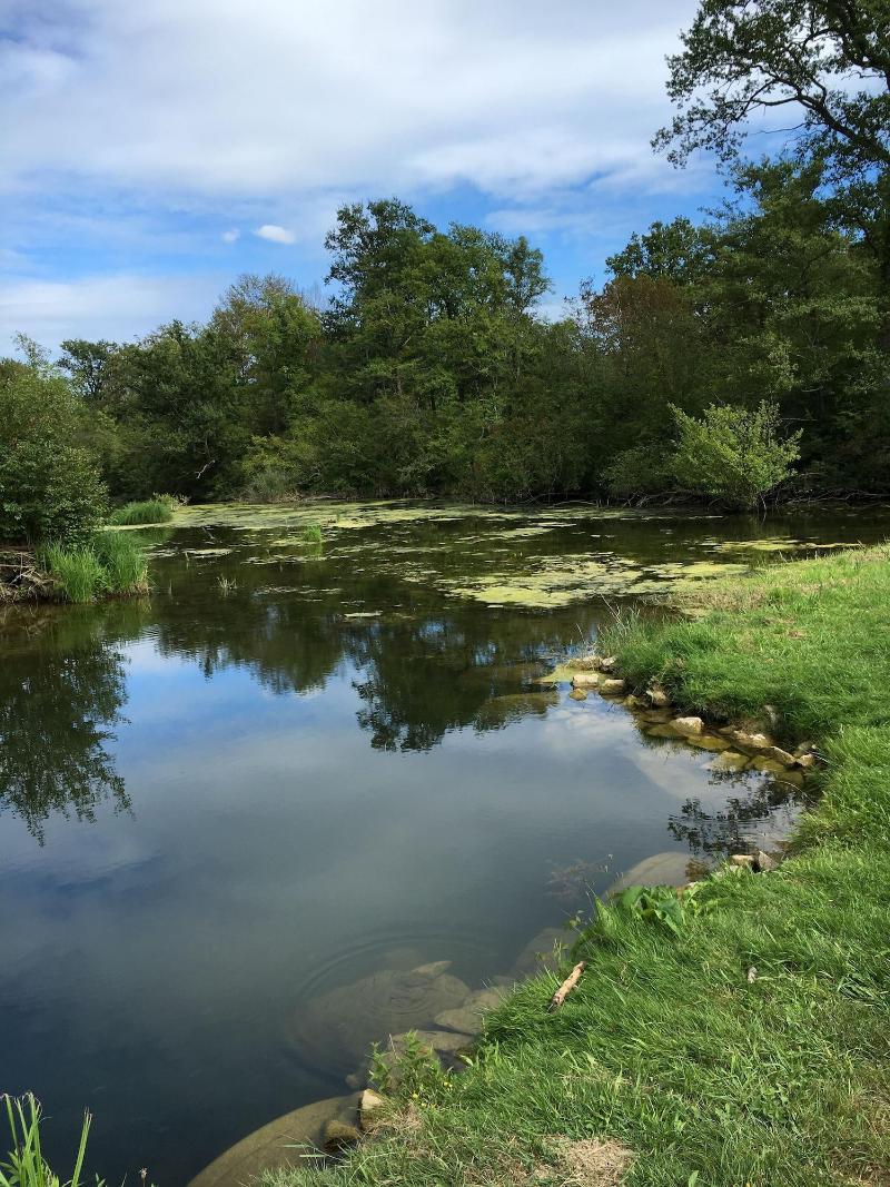 Hotel Restaurant Löwen - Aktivite