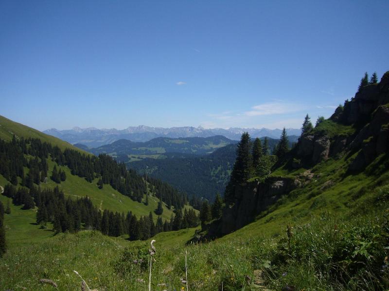 Hotel Bavaria - Genel