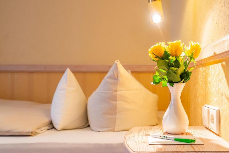 Parkhotel Traunstein - Oda