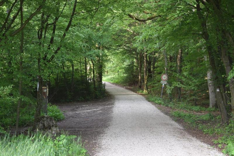 Landhotel Almrefugio - Genel