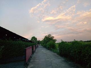 Honey Inn fotoÄŸrafÄ±