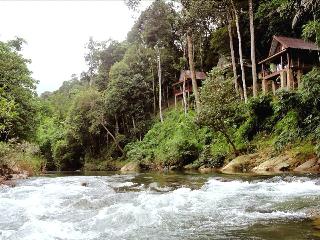 Khaosok Rainforest Resort fotoÄŸrafÄ±