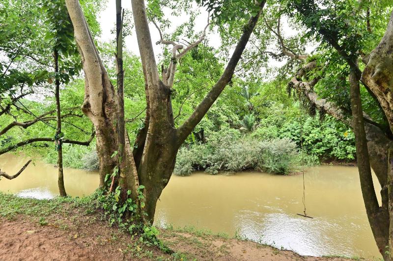 Khaosok River Home Resort - Genel