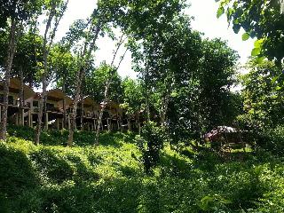 Khaosok River Home Resort fotoÄŸrafÄ±