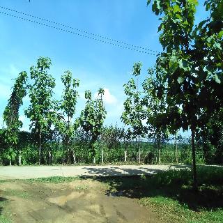 Loei Airport Homestay fotoÄŸrafÄ±