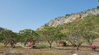 Phurang Hill Resort fotoÄŸrafÄ±