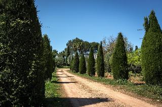 Finca Son Miranda