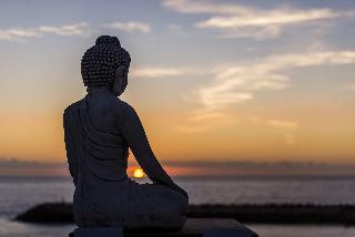 Sandhi House - Yoga & Wellness fotoÄŸrafÄ±