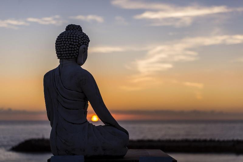 Sandhi House - Yoga & Wellness - Genel