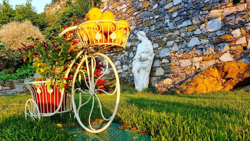 Cinqueterre Residence - Teras