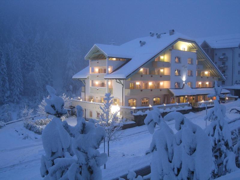 Hotel Erica - Genel