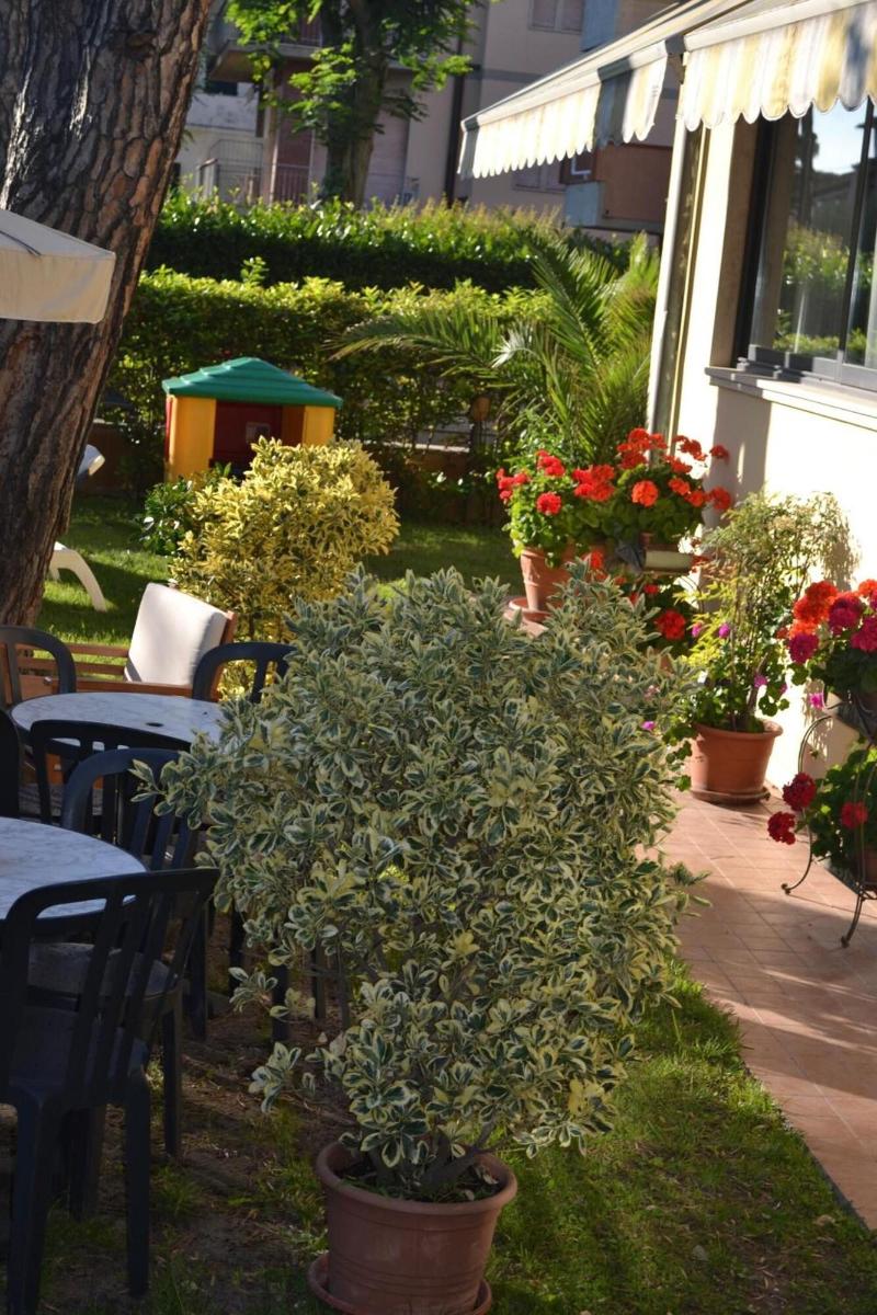 Hotel Maita - Genel