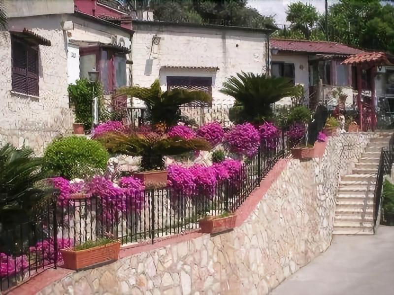 Mini Hotel - Genel