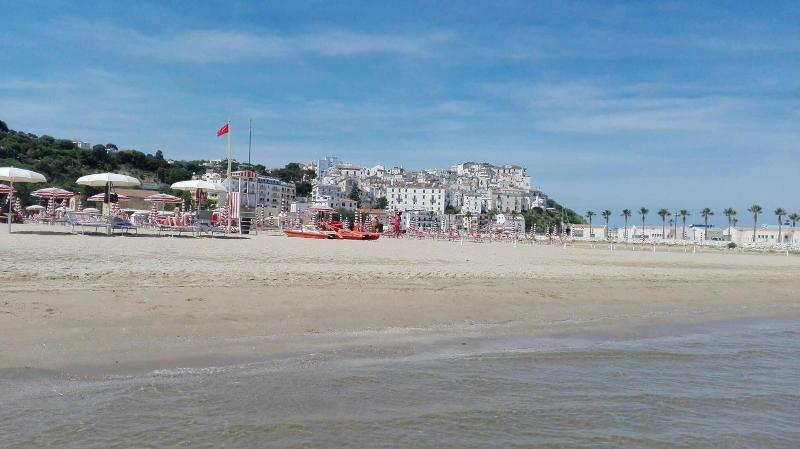 Hotel Borgo Marina - Plaj