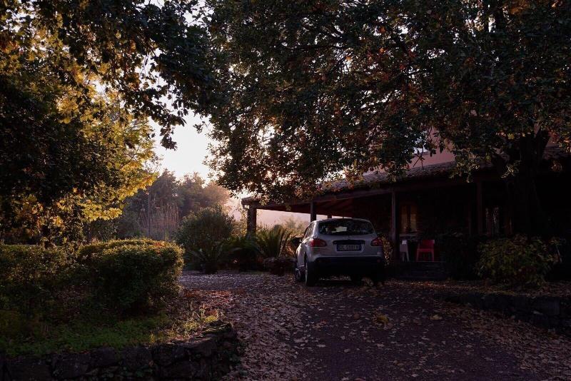 B&B Il Glicine - Genel