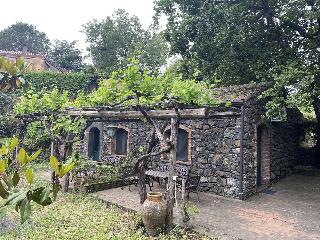 B&B Il Glicine fotoÄŸrafÄ±