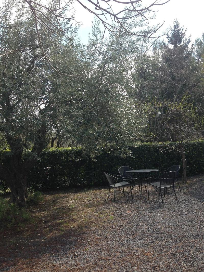 B&B Il Glicine - Genel